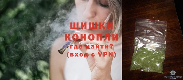 амф Бородино