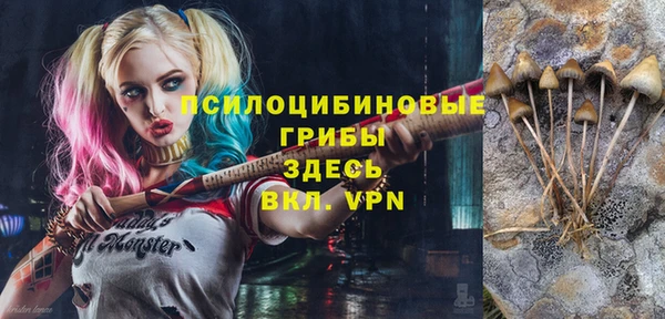ешки Бронницы