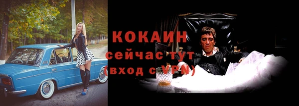 амф Бородино