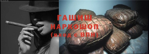 гидра Верхний Тагил