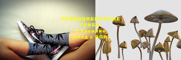 ешки Бронницы
