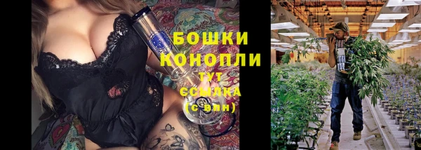 ешки Бронницы