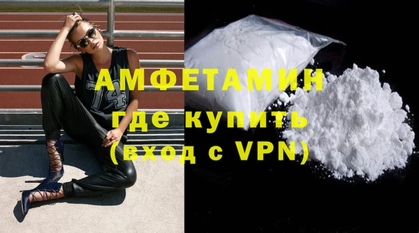 амф Бородино