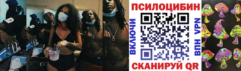Галлюциногенные грибы MAGIC MUSHROOMS  хочу наркоту  Каспийск 